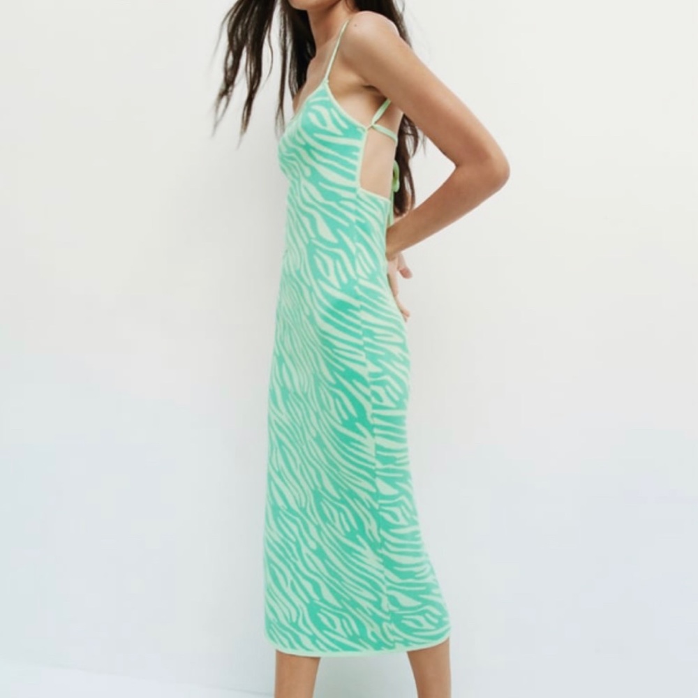Zebra Print Knit Dress